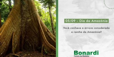 Campanha 2 – EMAIL I BLOG Dia da Amazônia: árvore Sumaúma